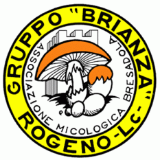 gruppo-micologico-rogeno-brianza-logo