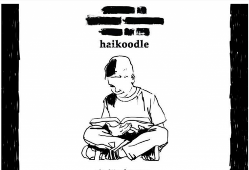 haikdoodle-serata-alserio