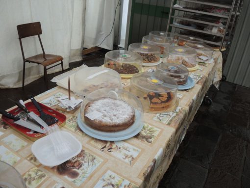 erba-sagra-del-masigott-2016-07