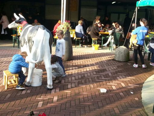 festa-paisan-medaglia-a-ronchetti-2016-16