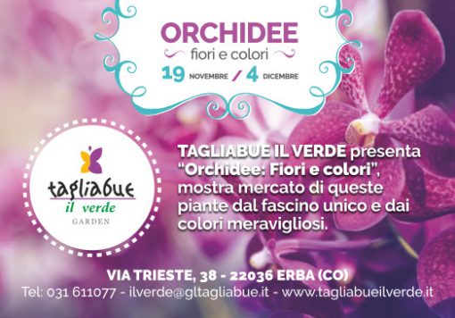 orchidee-16-la-provincia