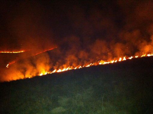 incendio-san-primo-2