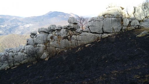 incendio-monte-rai-cornizzolo-1