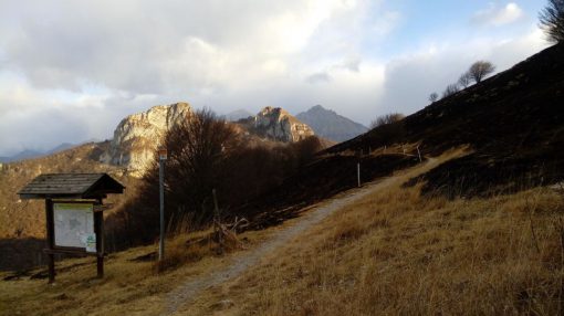 incendio-monte-rai-cornizzolo-3