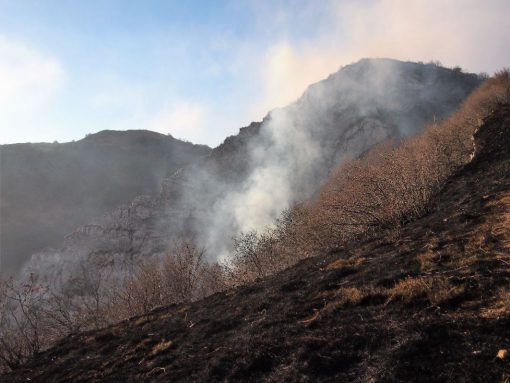 incendio-monte-rai-malascarpa-10