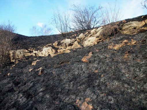 incendio-monte-rai-malascarpa-22