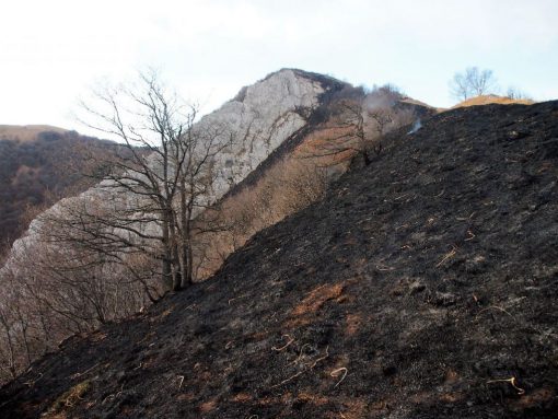 incendio-monte-rai-malascarpa-26