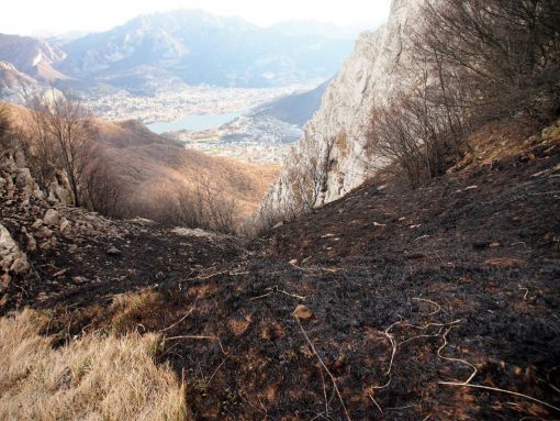 incendio-monte-rai-malascarpa-29