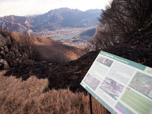 incendio-monte-rai-malascarpa-30