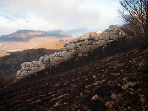 incendio-monte-rai-malascarpa-7