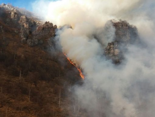 incendio_due_mani-2-1