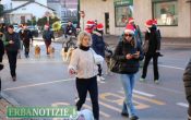 sfilata cani