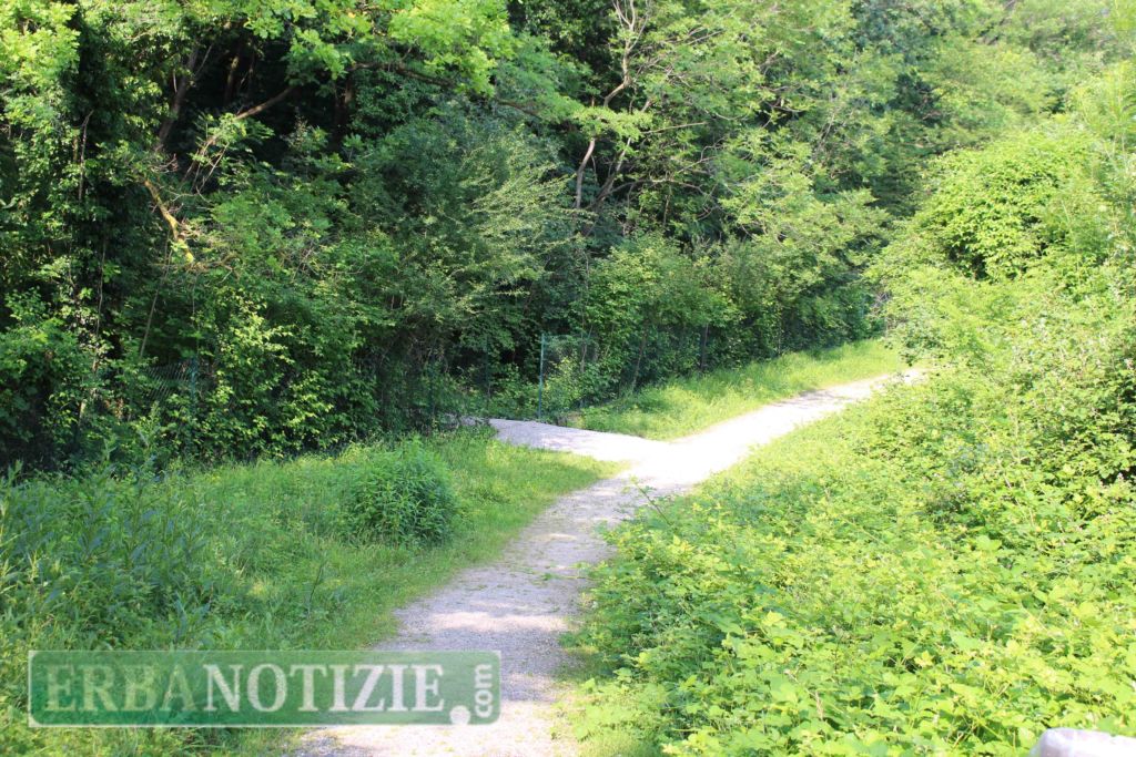 di un percorso riservato alle biciclette