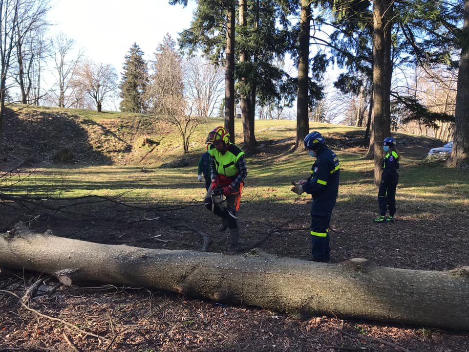 Alpe del Viceré. Nuovo parco tematico, i volontari ripuliscono l'area