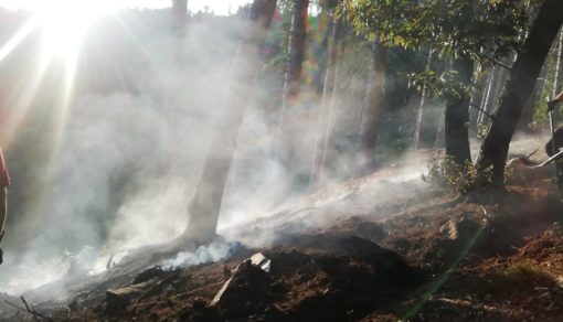 sormano incendio pineta