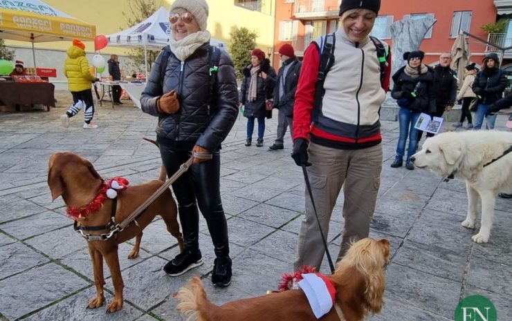 Babbo&Dog_Xmas_Run_Erba_20221211