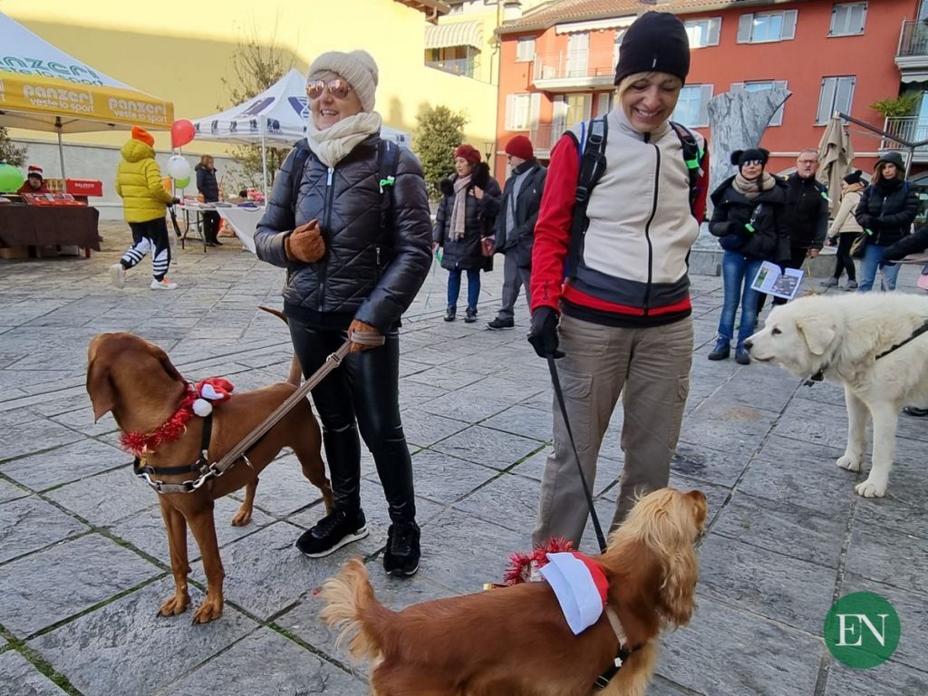 Babbo&Dog_Xmas_Run_Erba_20221211