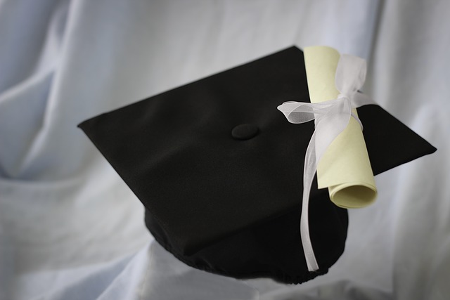 borsa di studio