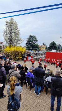 un ponte per pinocchio