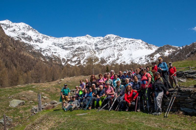 bondeno cai senior erba