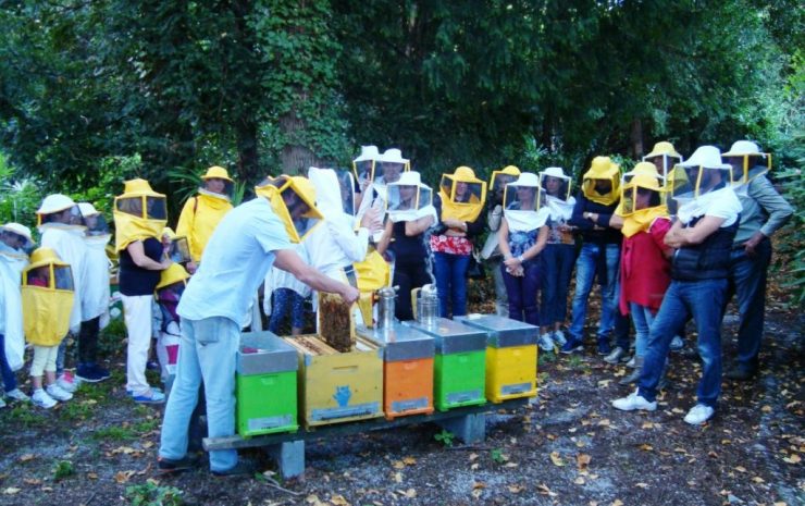 festa delle api