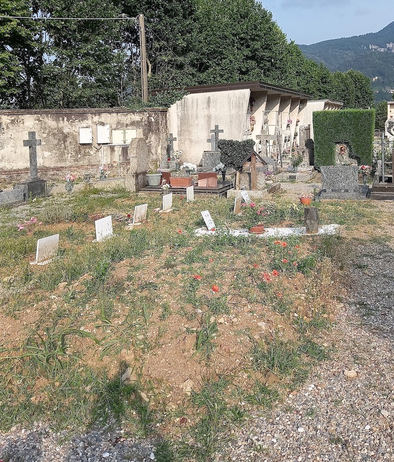 degrado cimitero arcellasco