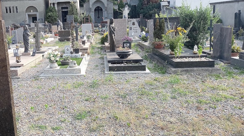 degrado cimitero arcellasco