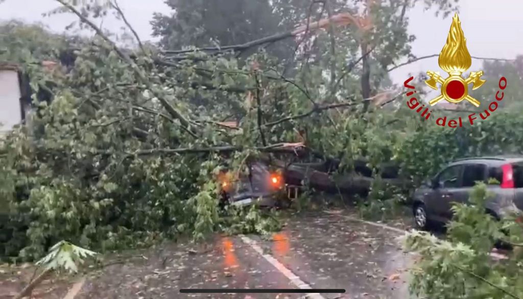 anzano maltempo pianta crollata auto