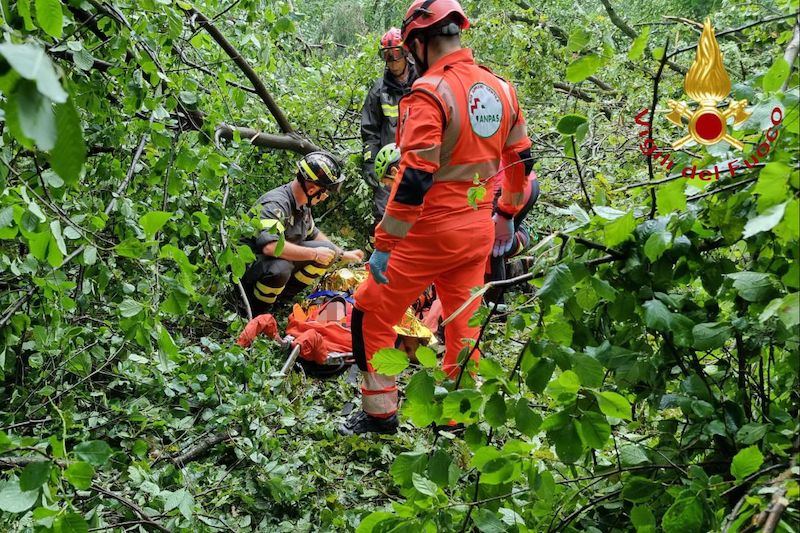 gironico maltempo escursionista sotto pianta