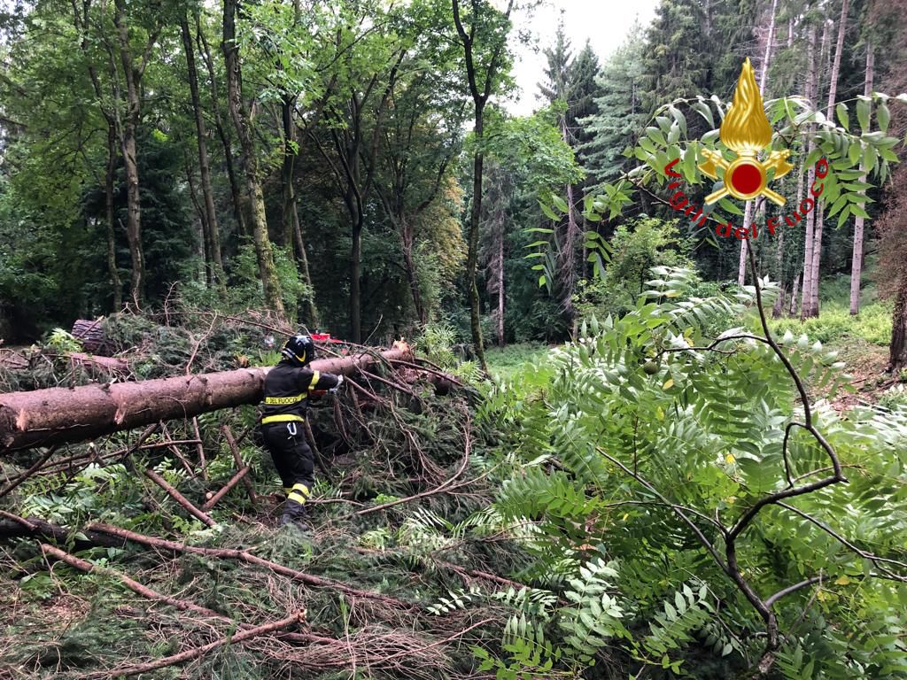 Canzo caduta alberi maltempo