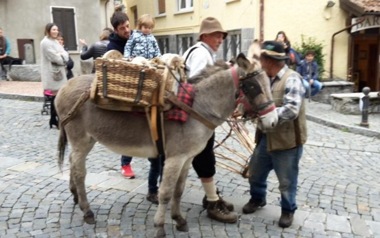 festa dell'asino barni