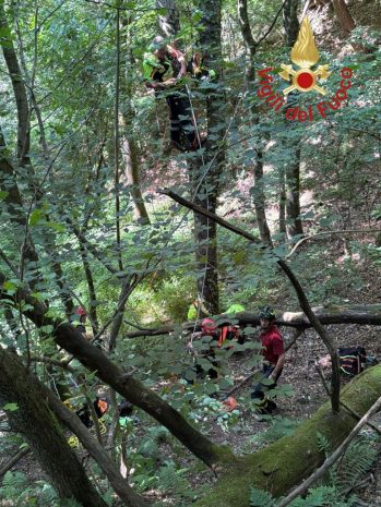Albavilla Bolettone Parapendio Albero VVF