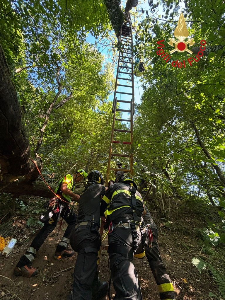 Albavilla Bolettone Parapendio Albero VVF