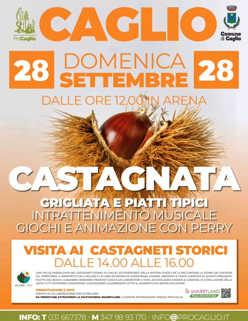 Castagnata Caglio - Locandina