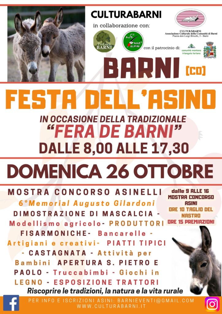 Festa dell'Asino, Barni - Locandina