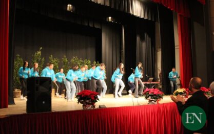 Festa associazioni Erba 2025