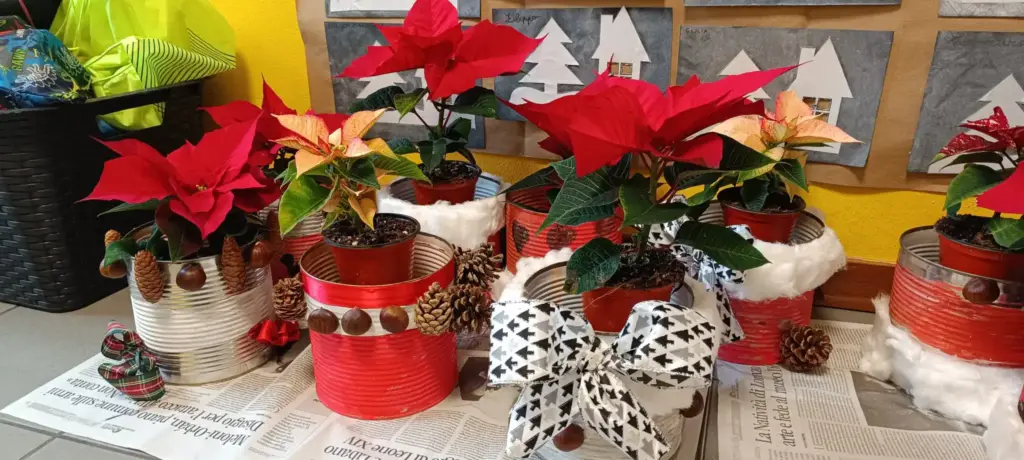 Legambiente Erba Scuole Merone Monguzzo riciclo 2025 (3)