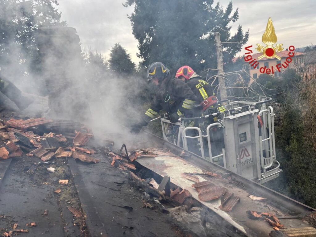 erba vigili del fuoco